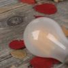 LED filament dekor izzó - A60 - 6 watt - szabályozható